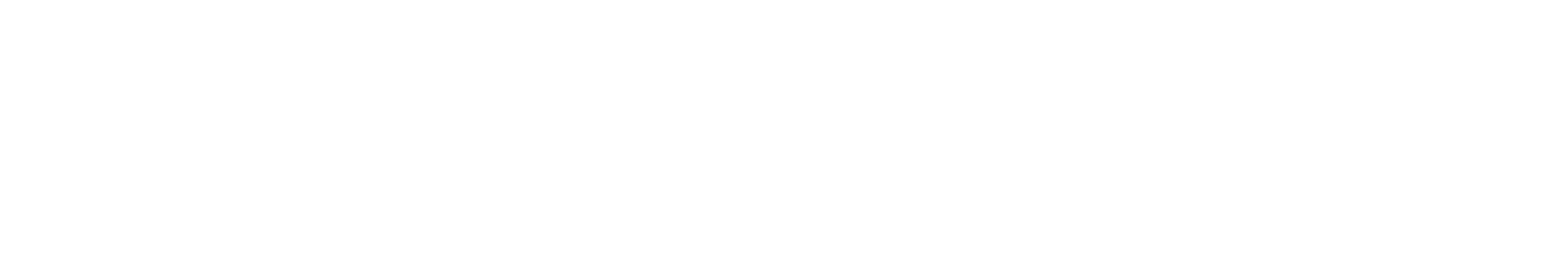 Send Network Logo