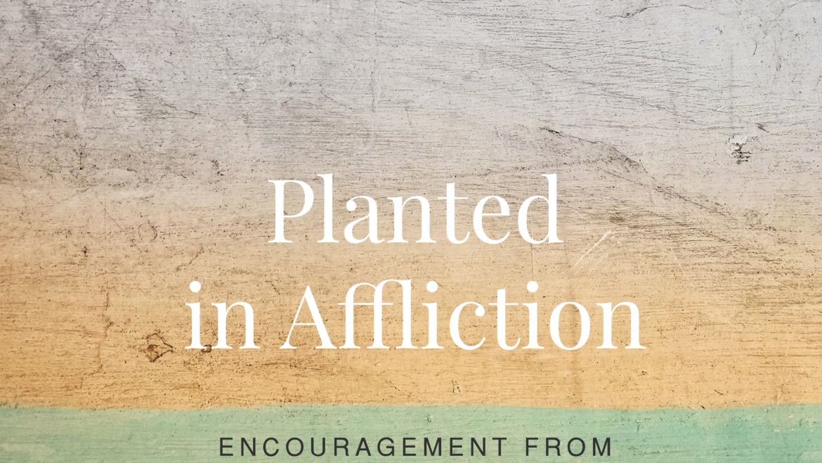 Planted in Affliction