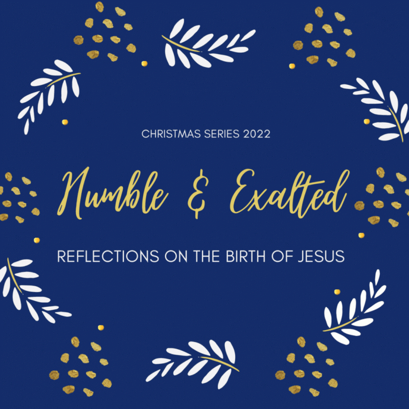 Reflections on the Birth of Jesus